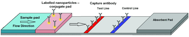 FIGURE 2.