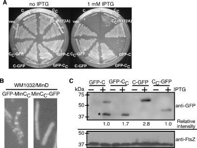 FIG. 6.