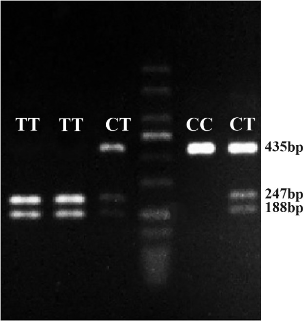 Fig.1