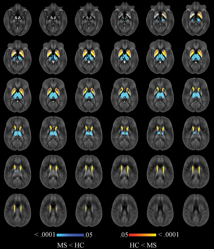 Figure 2: