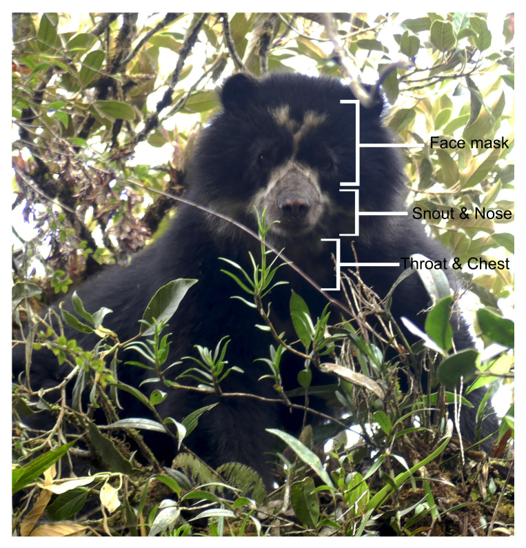 Figure 2.