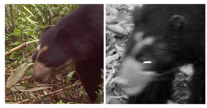 Figure 12.
