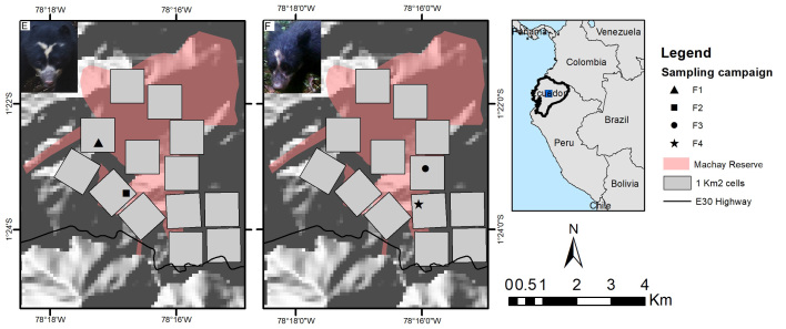 Figure 11.