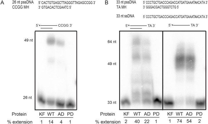 Fig 4