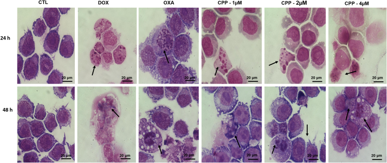 Fig. 4