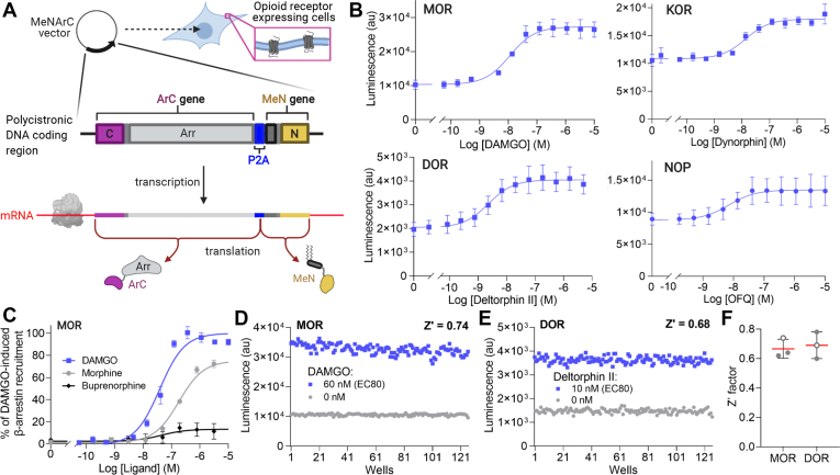 Figure 4