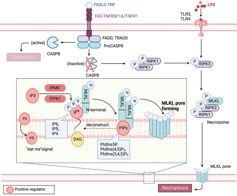 Figure 2.