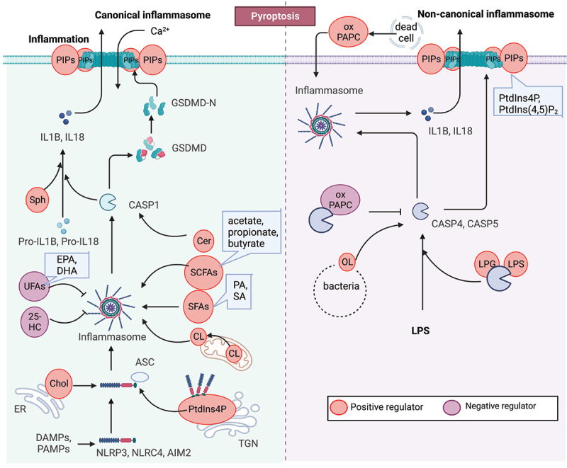 Figure 4.