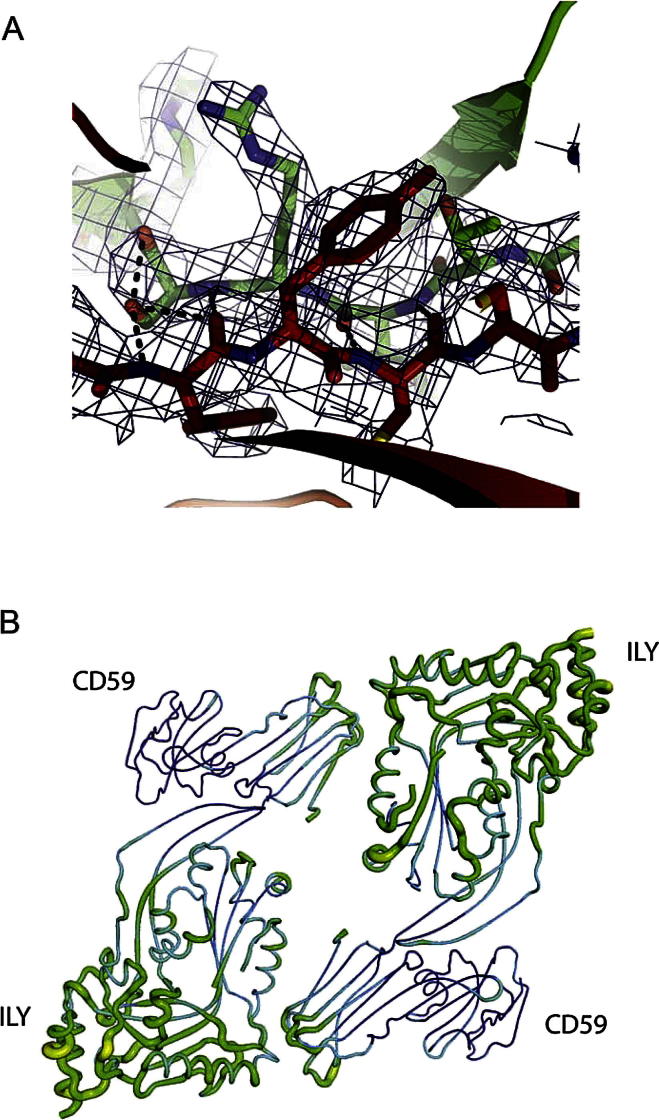 Figure S1