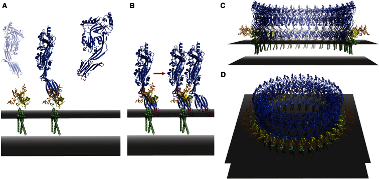 Figure 4