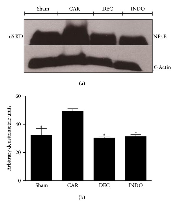 Figure 12