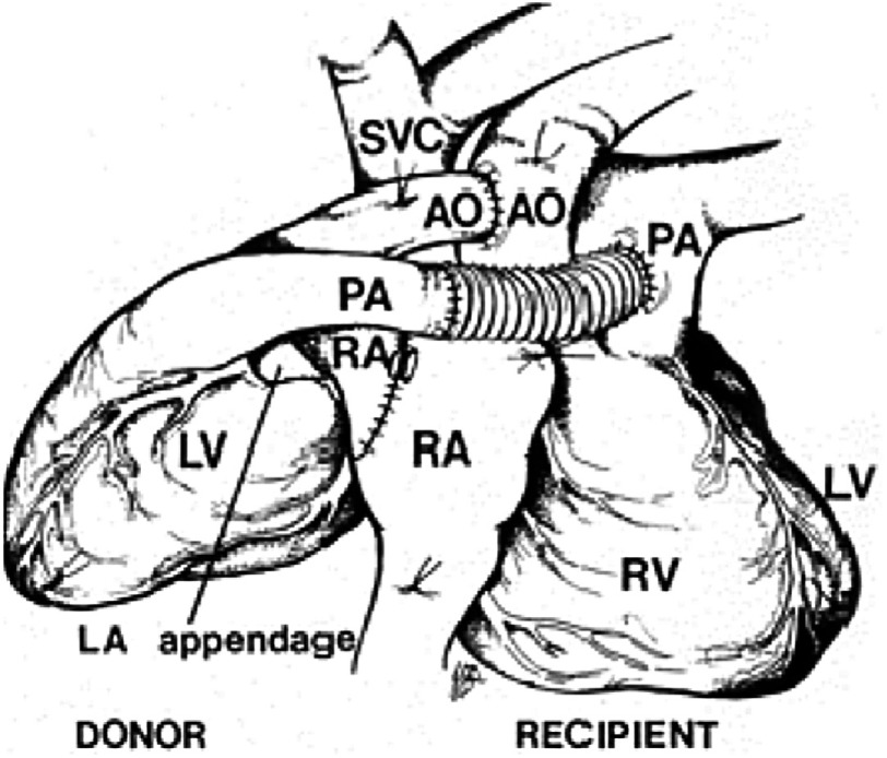 Figure 17.