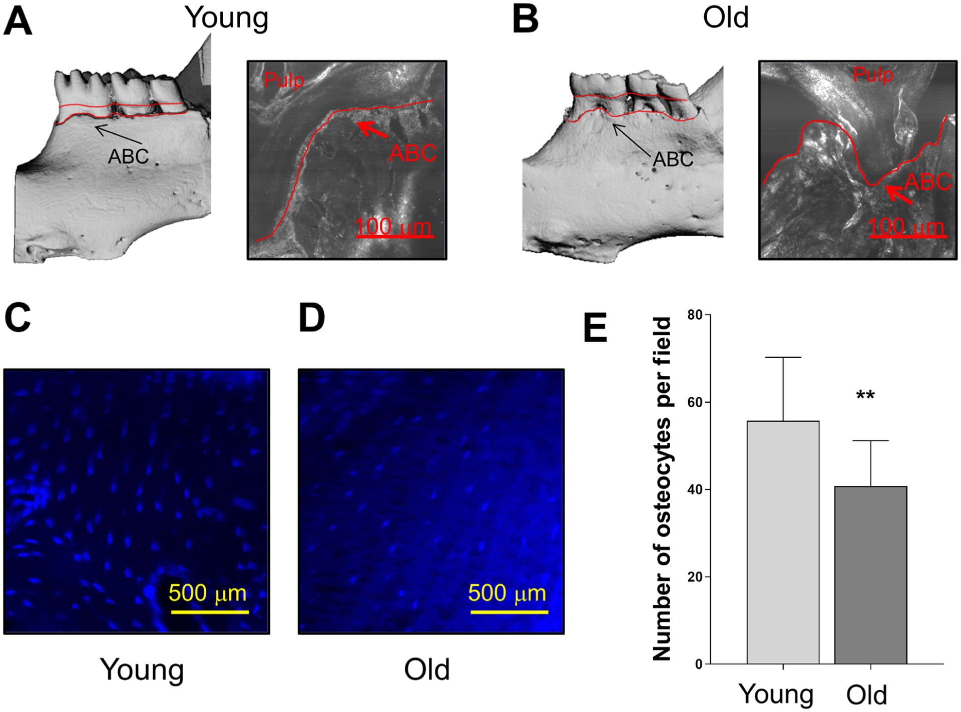 FIGURE 3