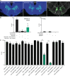 Figure 1—figure supplement 2.