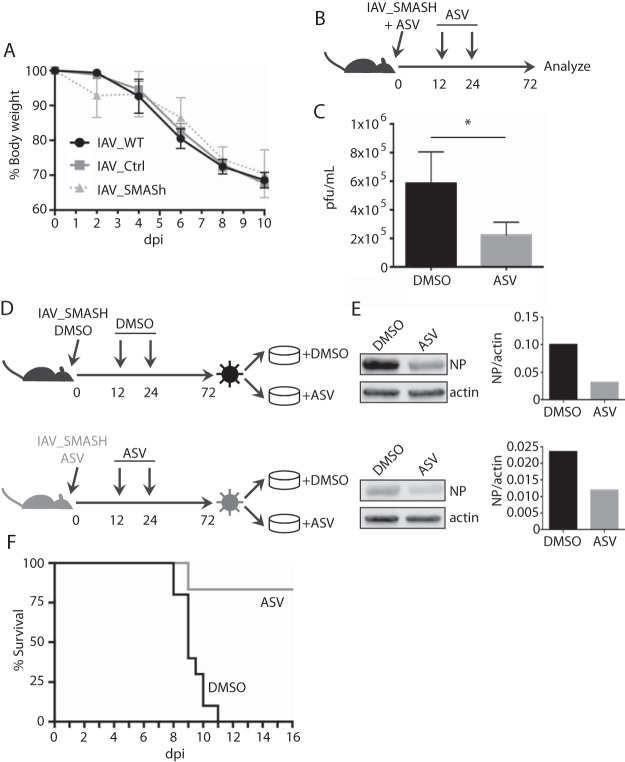 FIG 4