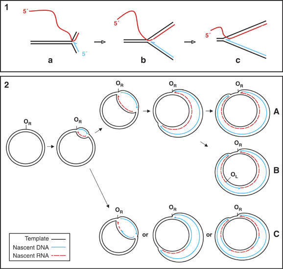 Figure 8