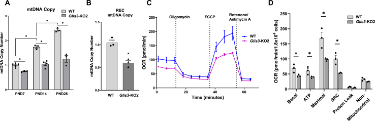 Figure 6