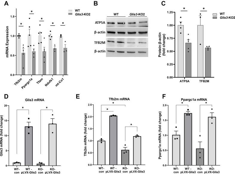 Figure 4