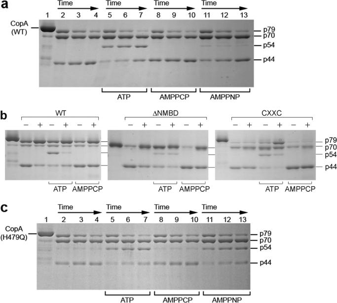 Figure 7