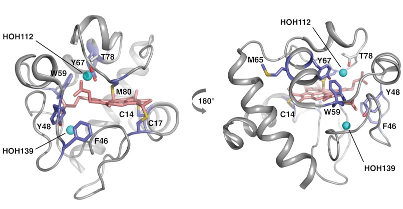 Fig. 4.