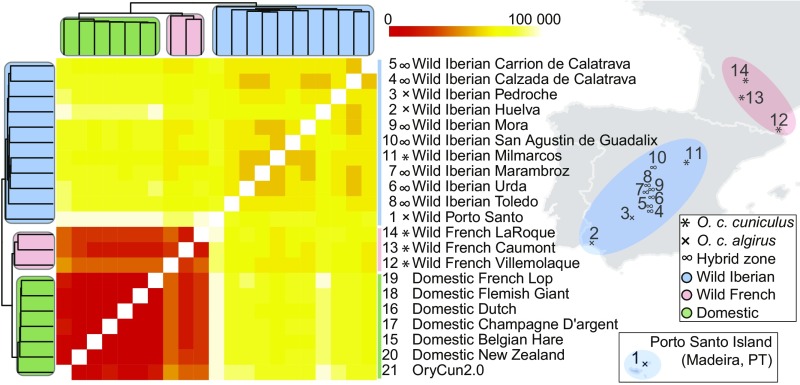 Fig. 2.