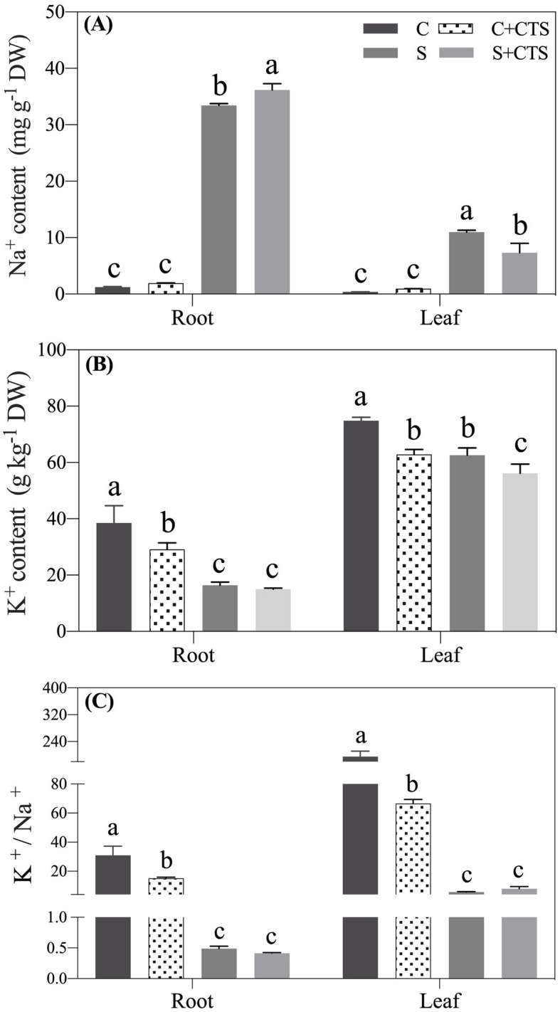 Fig. 6