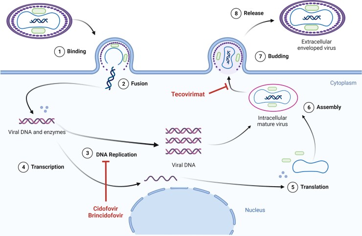 Figure 3.