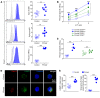 Figure
3