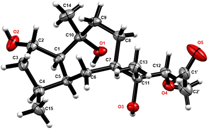 Figure 7