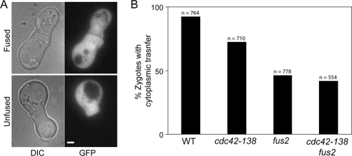 FIGURE 6: