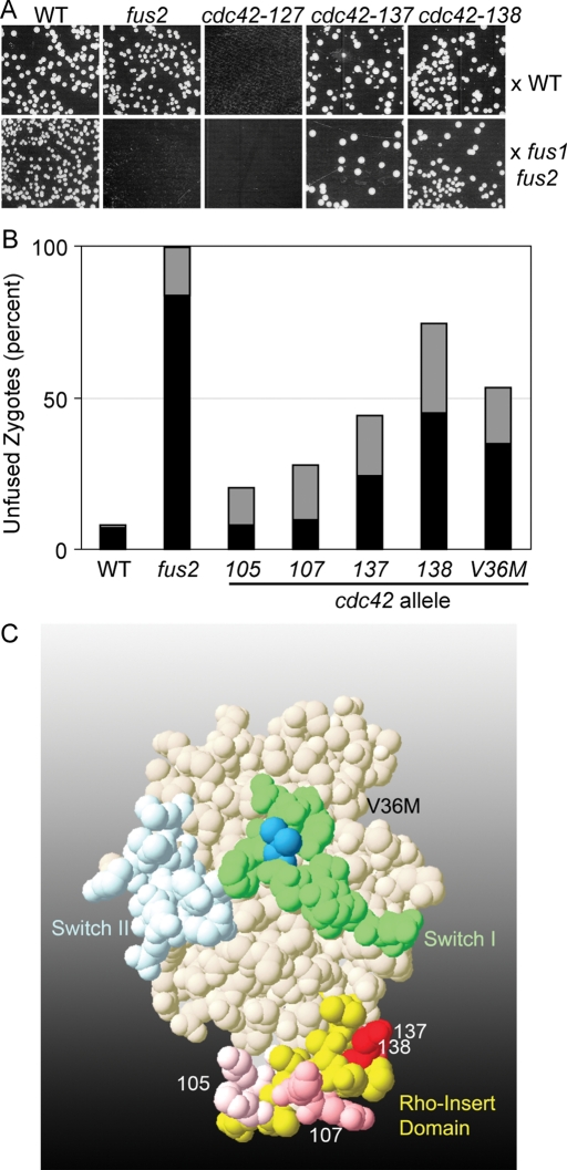 FIGURE 2: