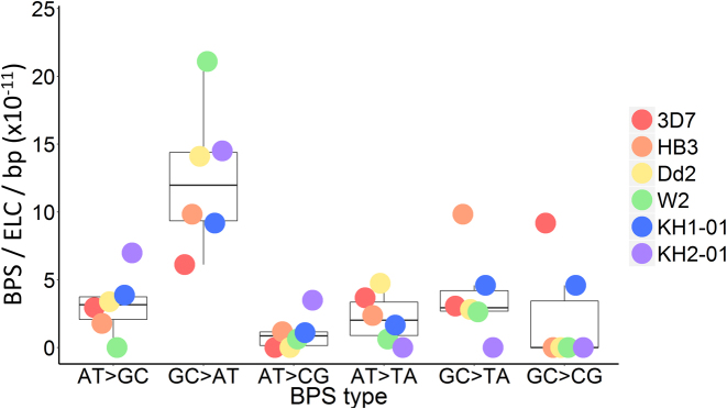 Figure 3.