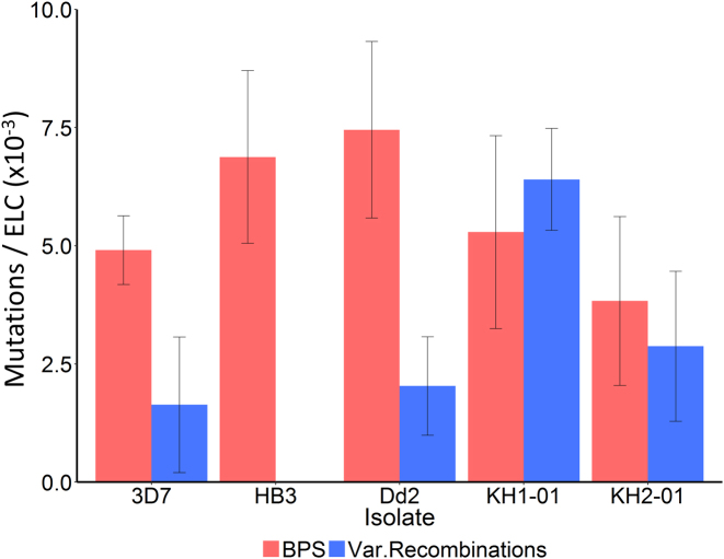 Figure 5.