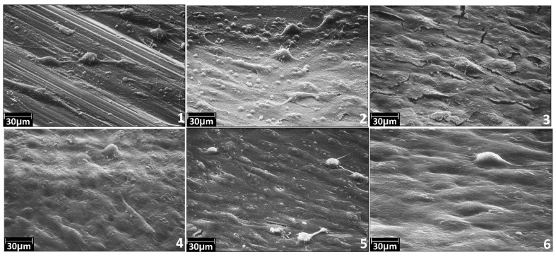 Figure 10