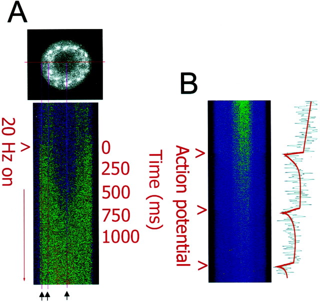 Fig. 1.