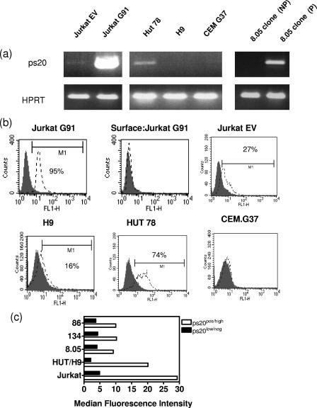 FIG. 3.