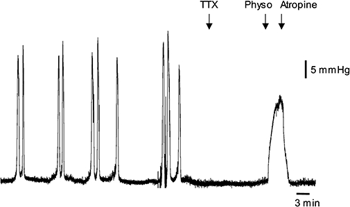 Figure 8