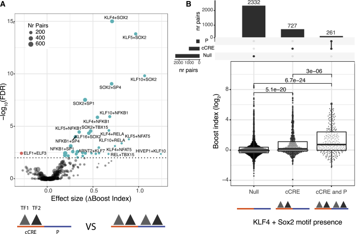 Figure 6