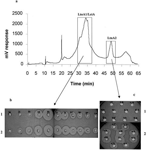 FIG. 2.