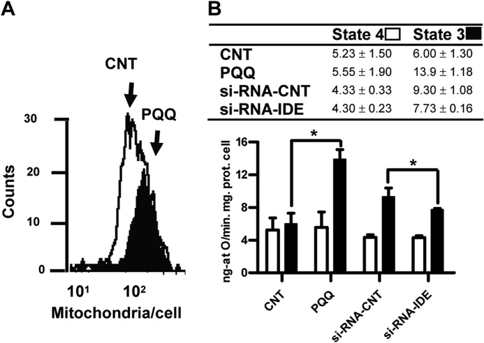 FIGURE 7.