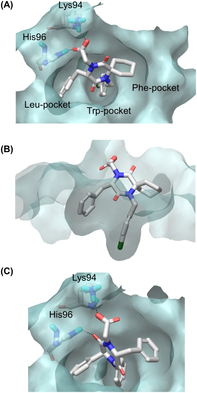 Fig 6