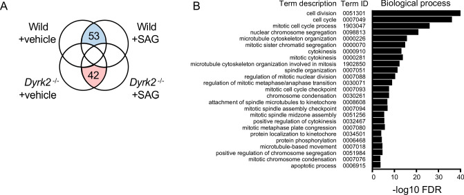 Figure 7—figure supplement 1.