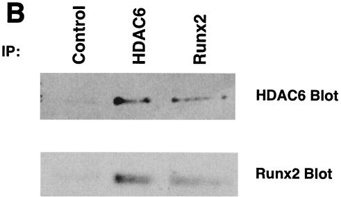 FIG. 9.