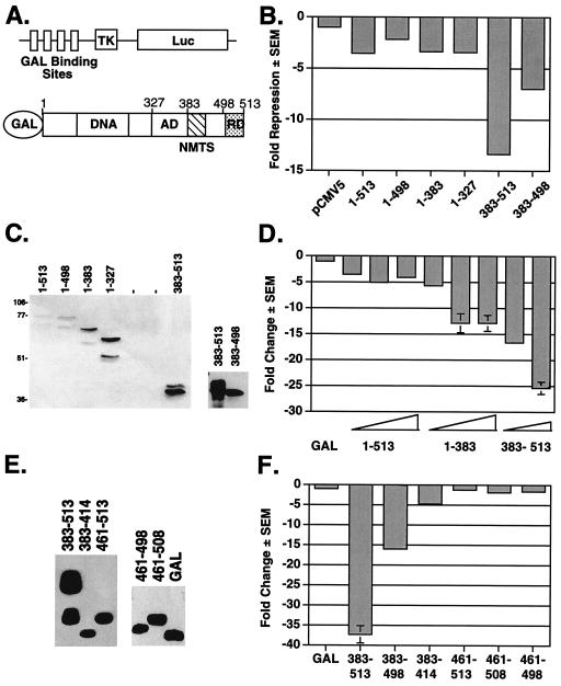 FIG. 2.