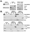 FIG. 6.