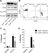 FIGURE 5: