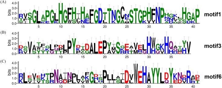 Figure 5