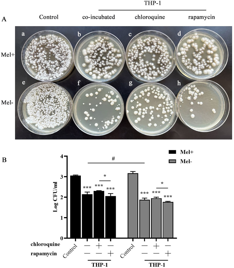 Fig 4