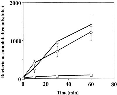 FIG. 6