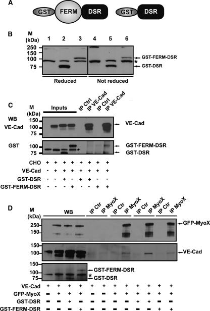 FIG. 13.